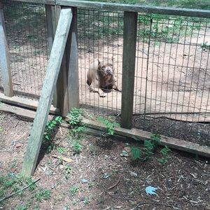 Meet your Posher, Abel